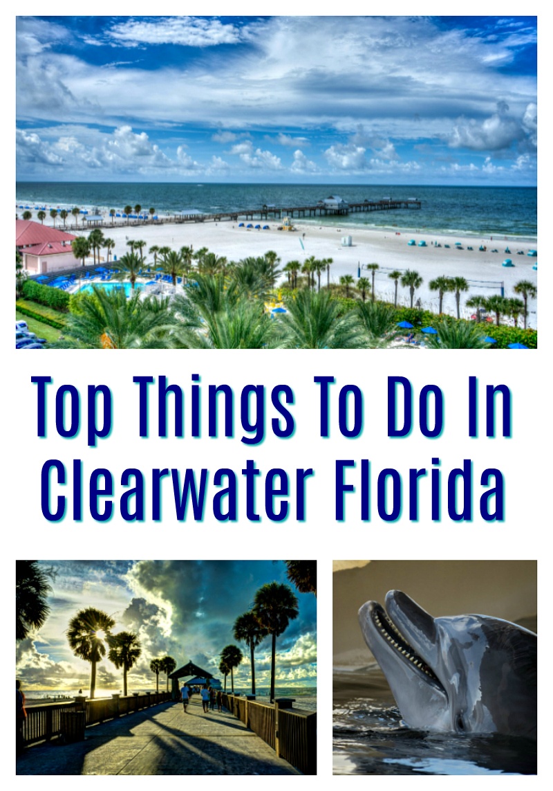 Top Things To Do In Clearwater Florida