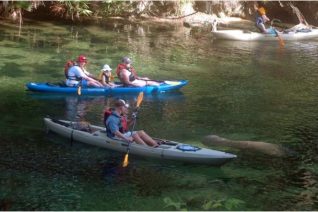 Things To Do In Central Florida