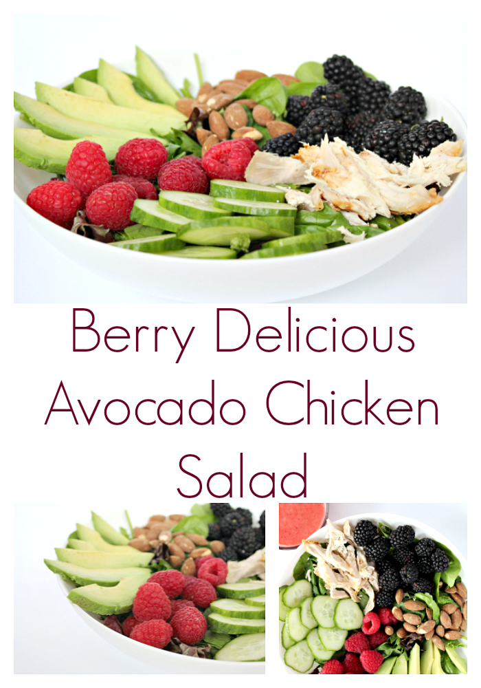 Berry Delicious Avocado Chicken Salad | Looking for all the tastes of summer in one bowl? This Berry Delicious Avocado Chicken Salad is it! Healthy, yummy and easy to make! Grab this fresh salad recipe and enjoy! Read more healthy living tips, healthy recipes and fitness tips on foodwinesunshine.com | Food Wine Sunshine