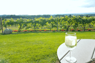 Best Michigan Wineries