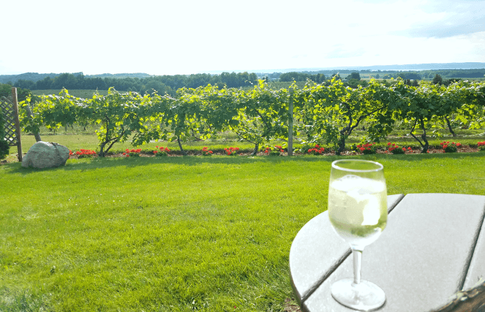 Best Michigan Wineries