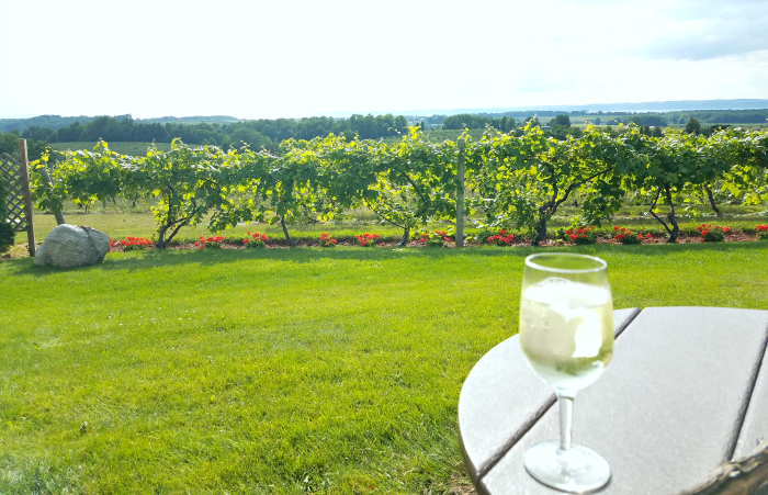 Best Michigan Wineries To Visit