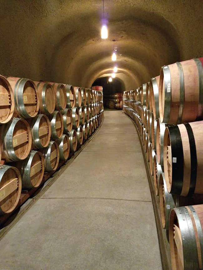 Best Wineries to Visit in Napa Valley