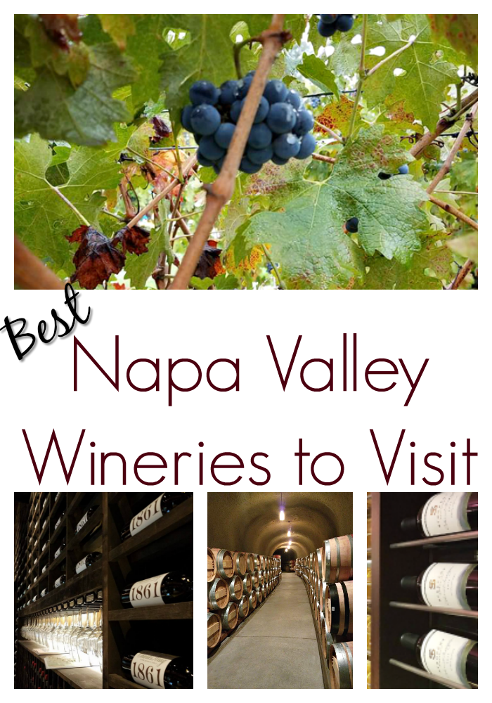 Top Wineries to Visit in Napa Valley