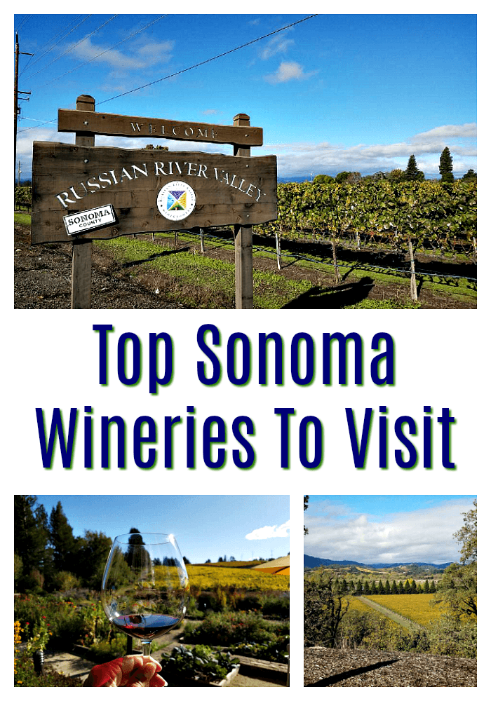 Top Sonoma Wineries to Visit 