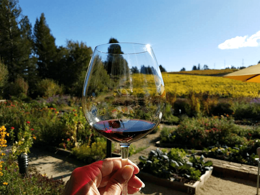 Top 5 Sonoma Wineries to Visit 