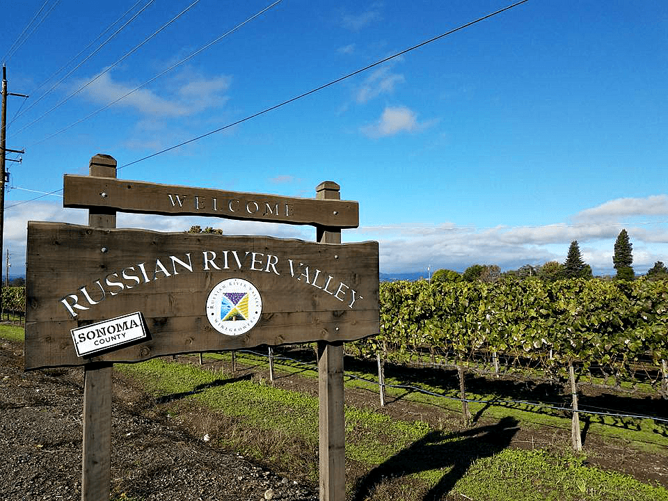 Wineries to visit in Sonoma County