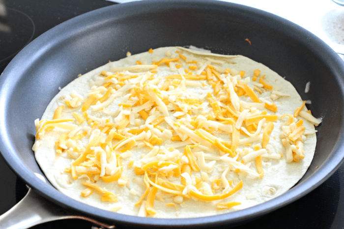 Tasty Cheesy Quesadillas