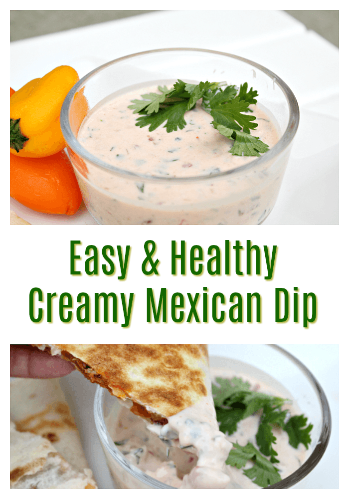 Best Healthy Mexican Dip 