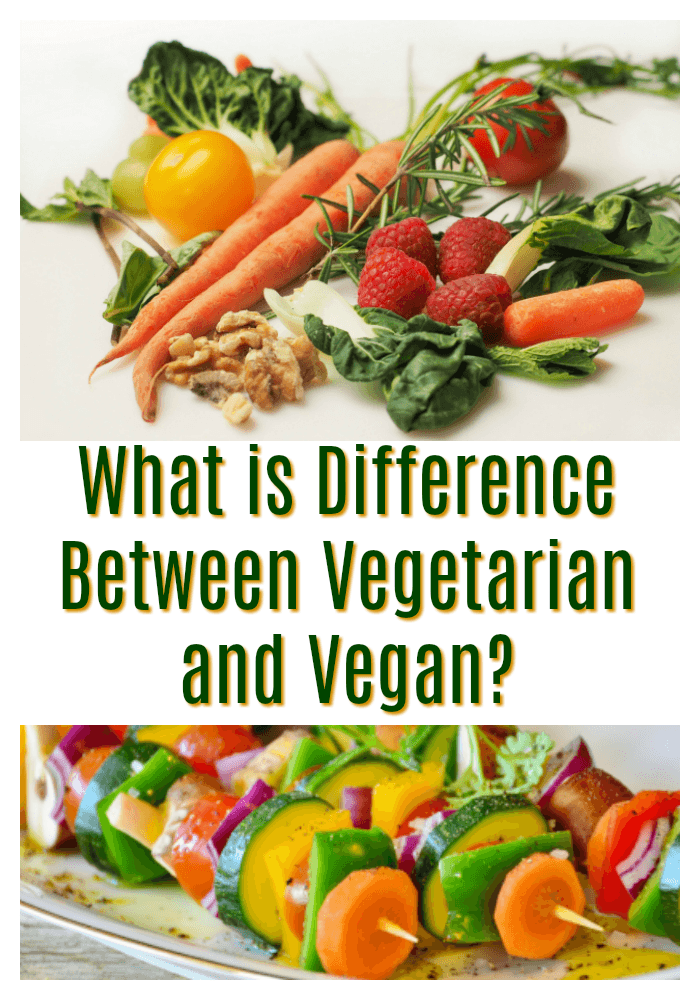 What is Difference Between Vegetarian and Vegan?