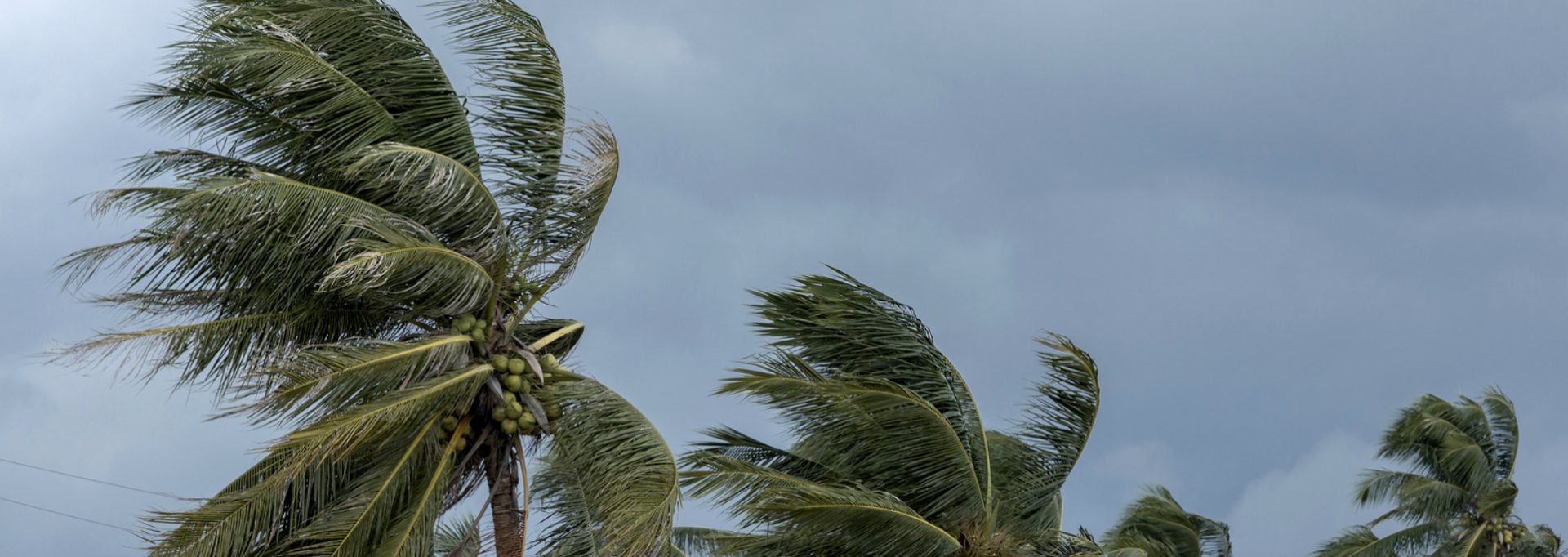 Hurricane prep