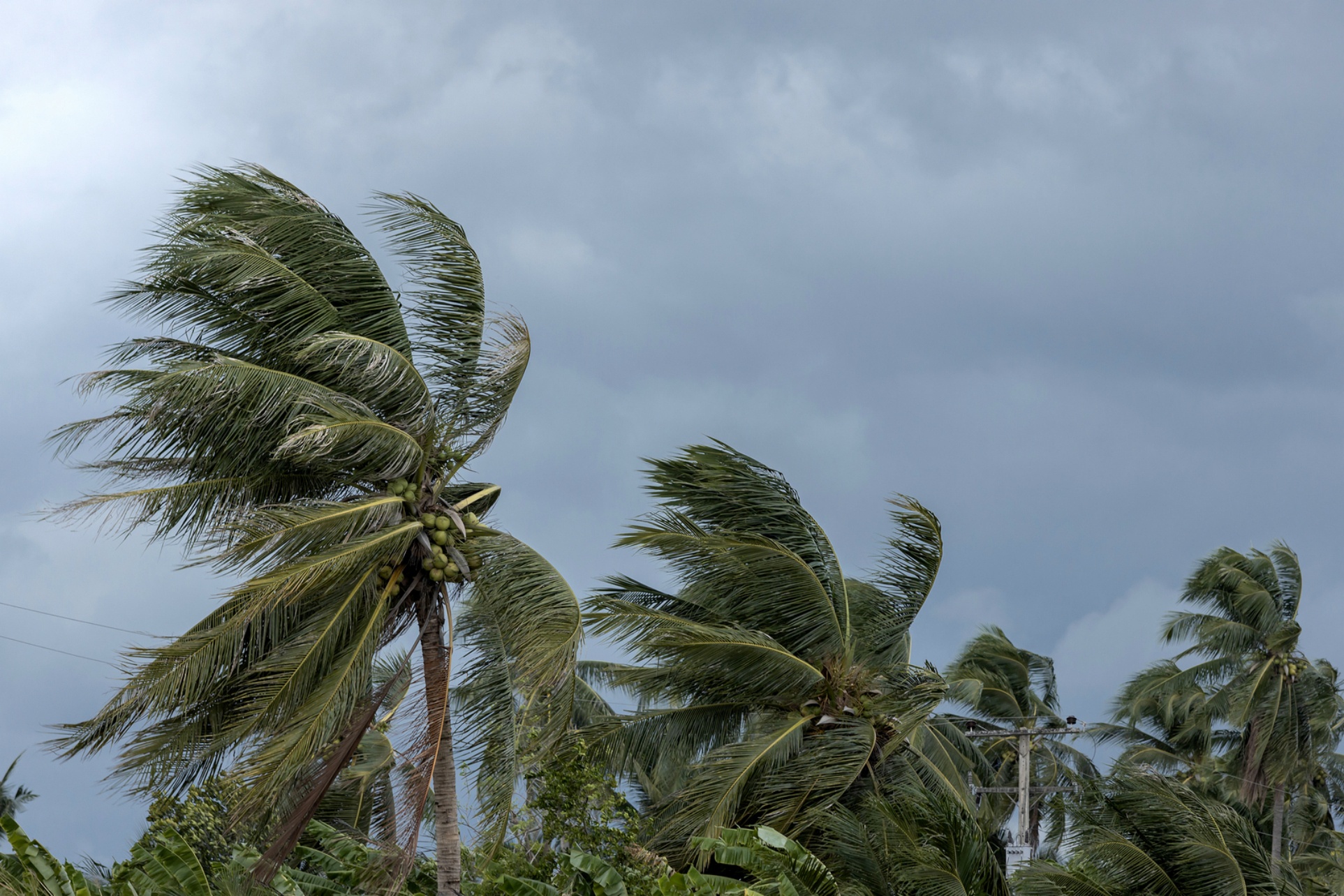 How to prepare for a hurricane