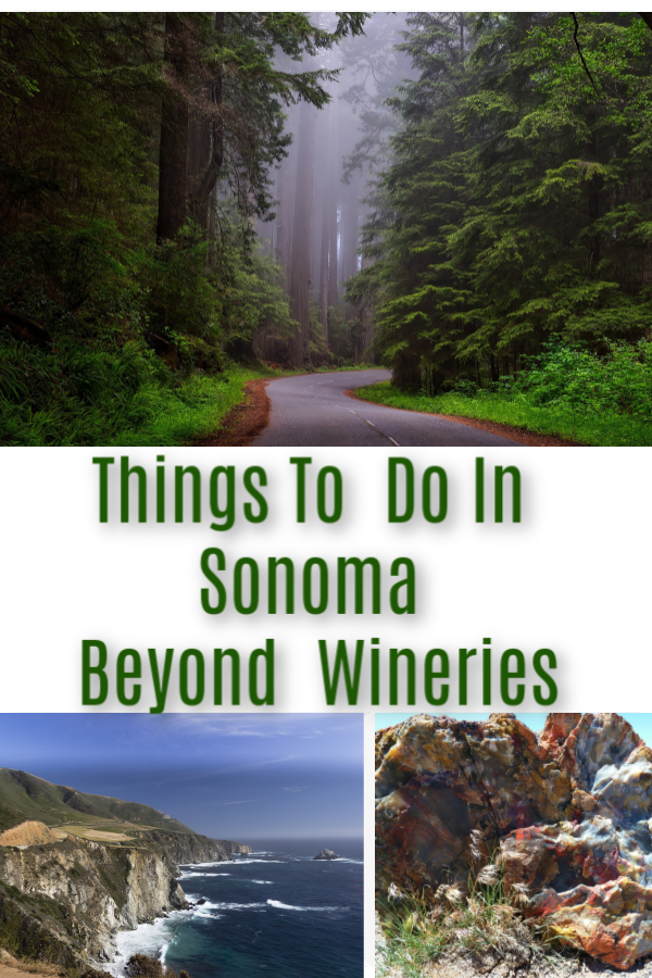 Top Things To Do In Sonoma