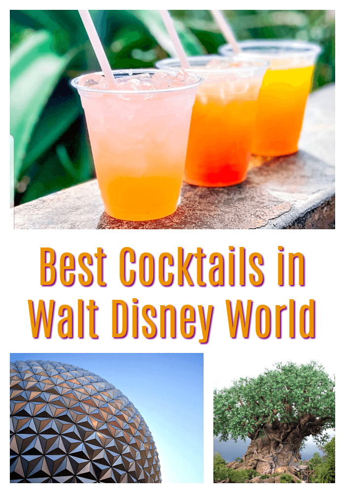 Best Cocktails in Walt Disney World