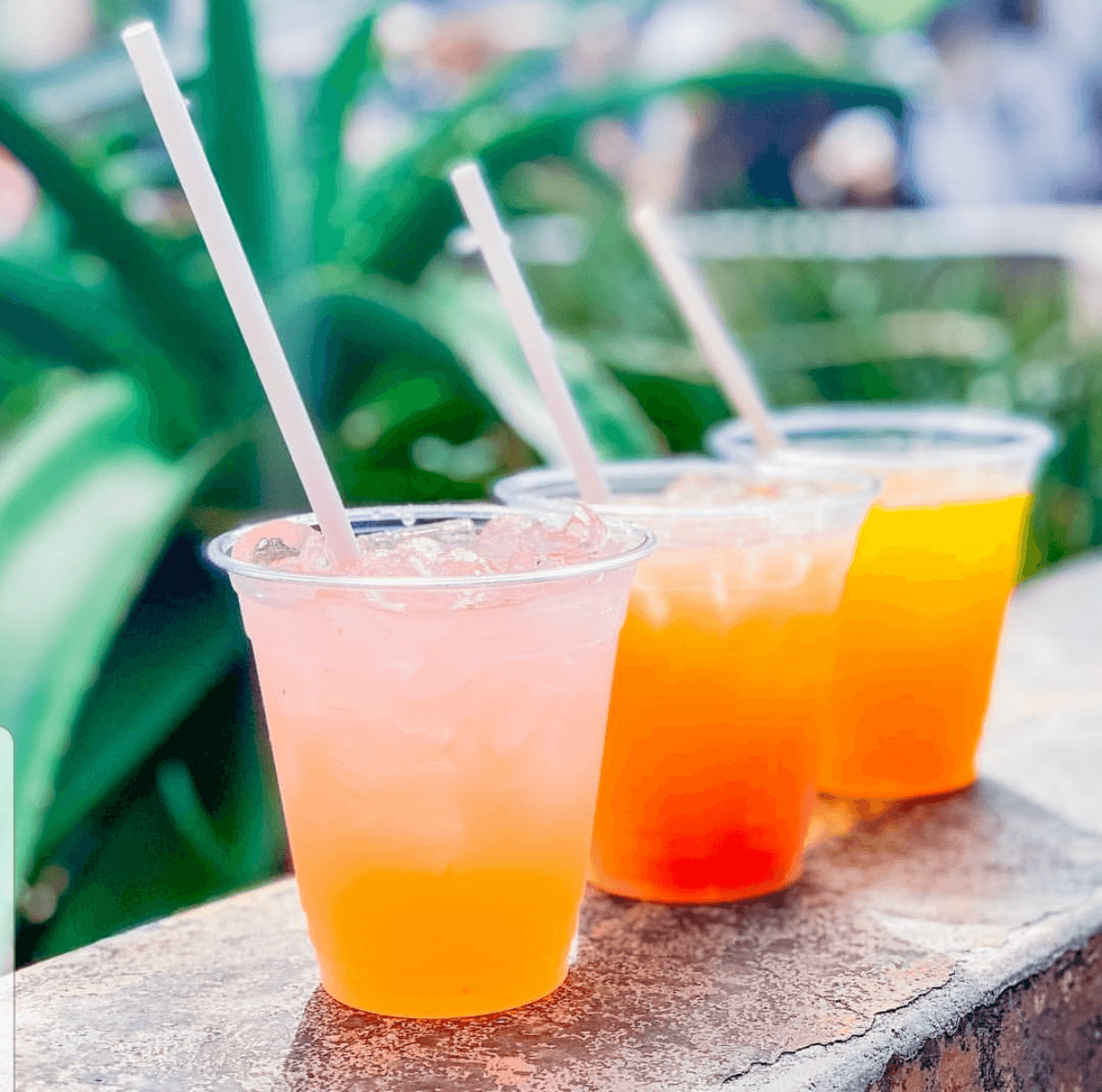 Where to find the Best Cocktails in Walt Disney World