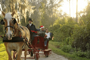 Holiday Activities at Fort Wilderness Campground