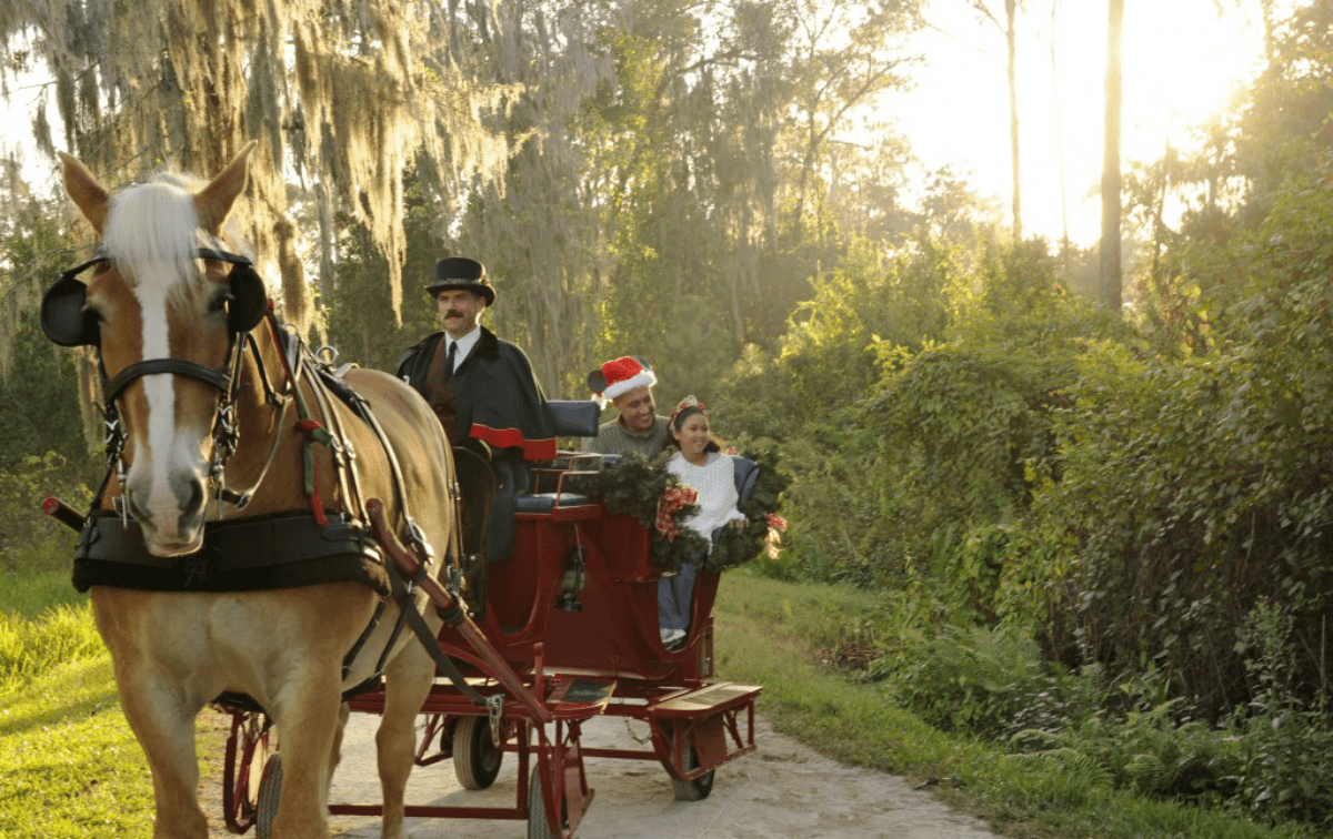 Best Activities at Disney's Fort Wilderness Campground