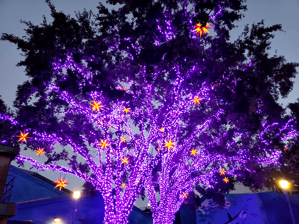 Festive Ways To Celebrate Christmas in Warm Weather