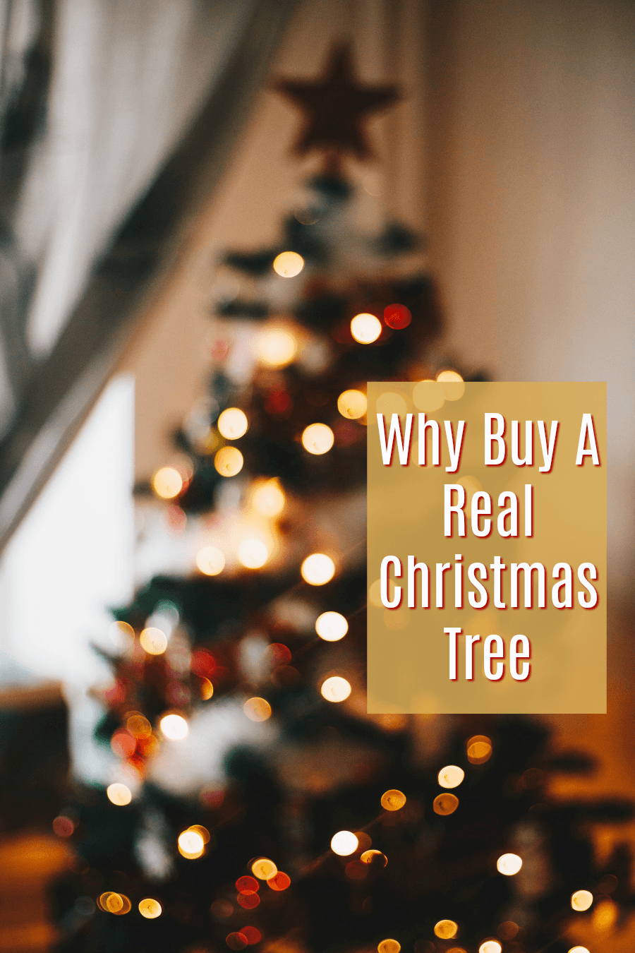 Why Buy A Real Christmas Tree