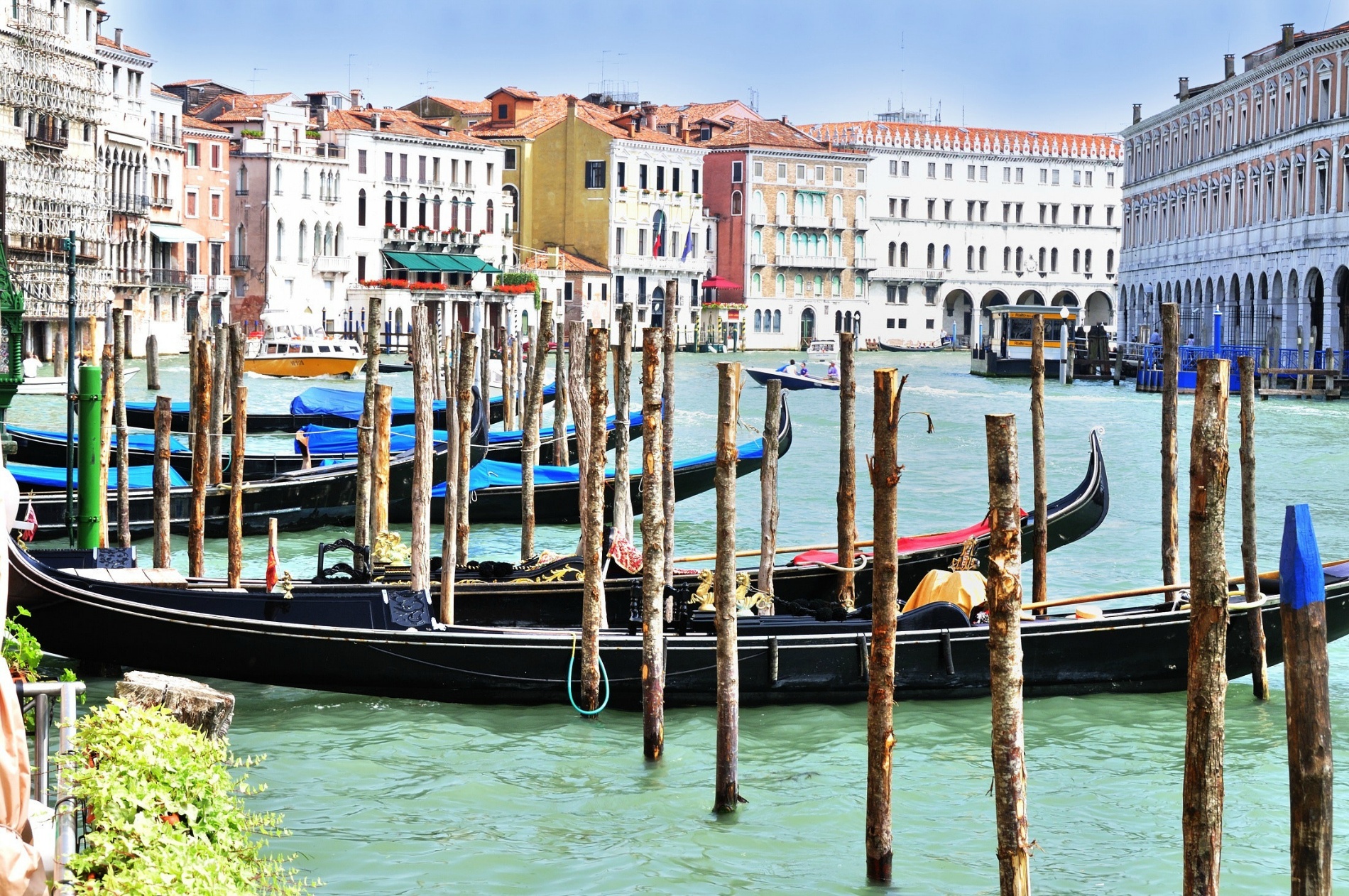 Top 10 Free Things to Do in Venice