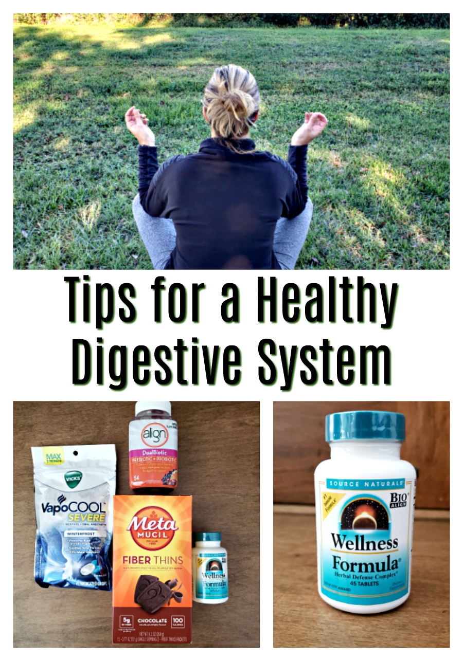 How To Maintain a Healthy Digestive System