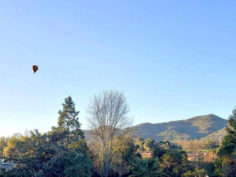 Top Things To Do In Yountville CA