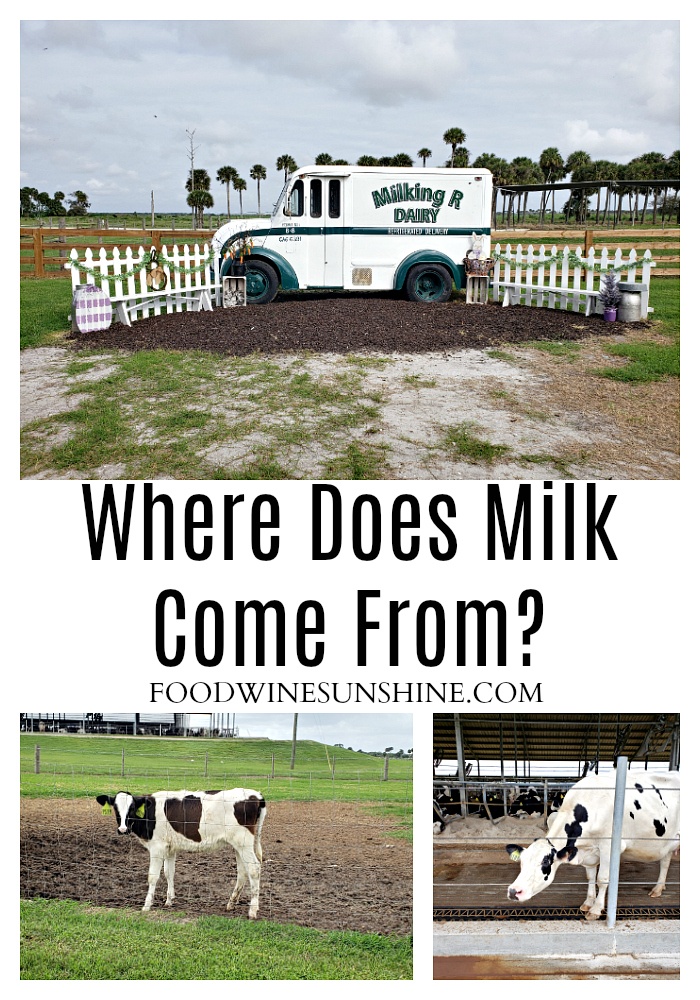 Where Does Milk Come From In Florida?