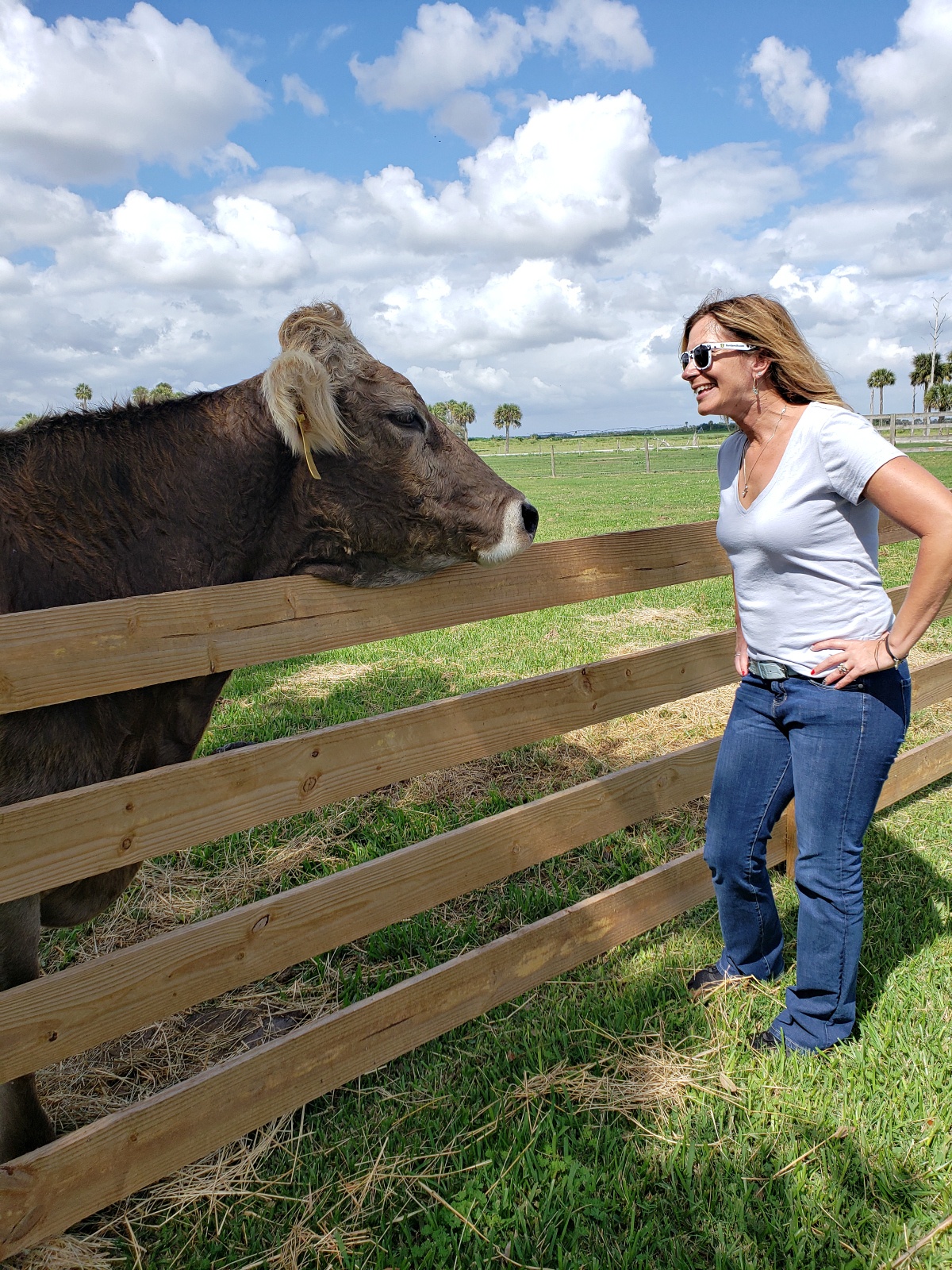 Where Does Milk Come From? Florida Milk