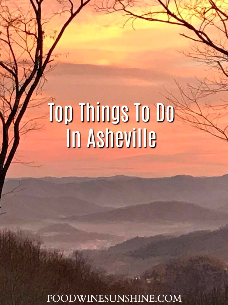 Top Things To Do In Asheville with kids