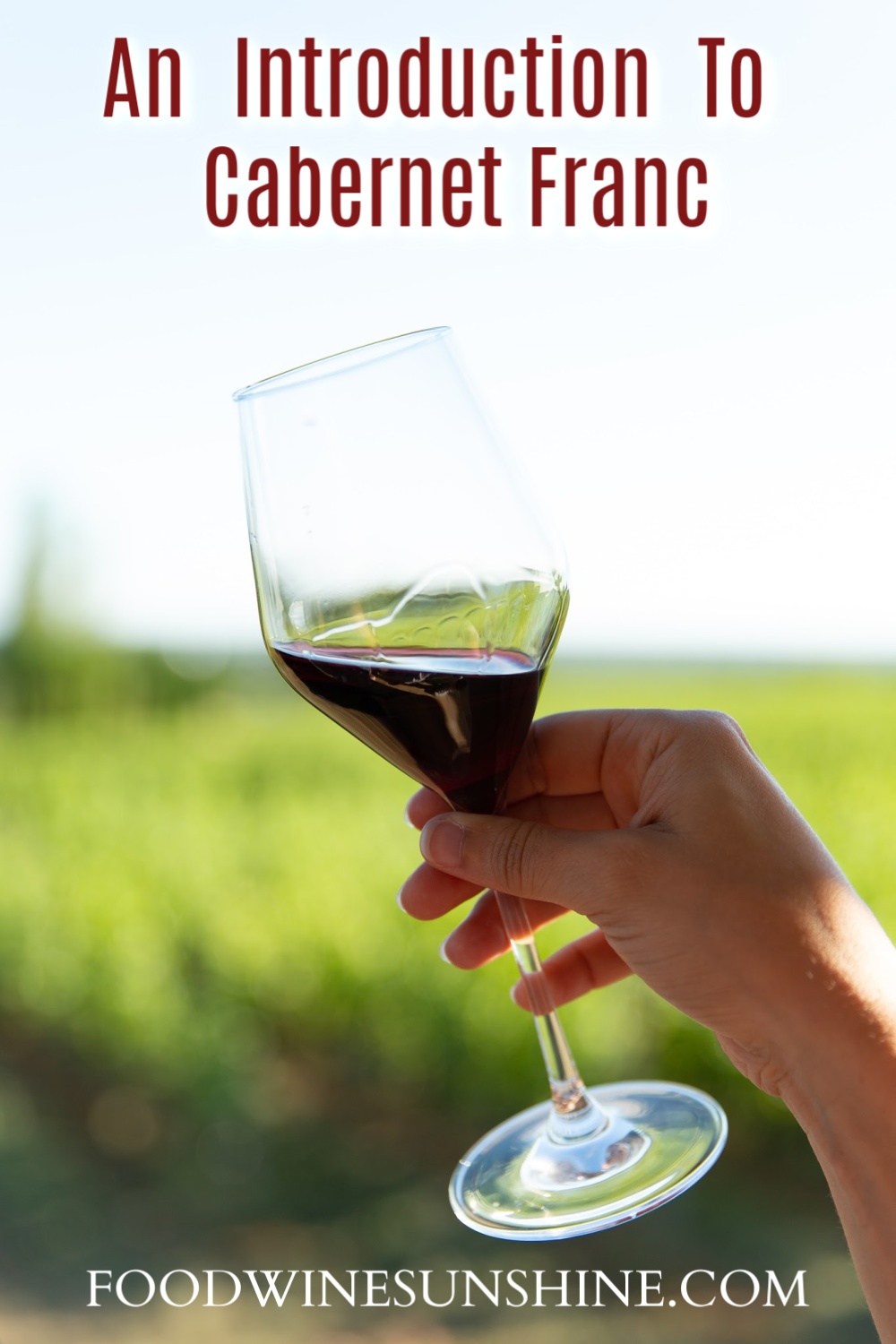 Introduction To Cabernet Franc