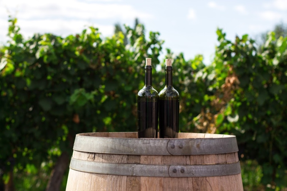 The Role Of Oak In Winemaking