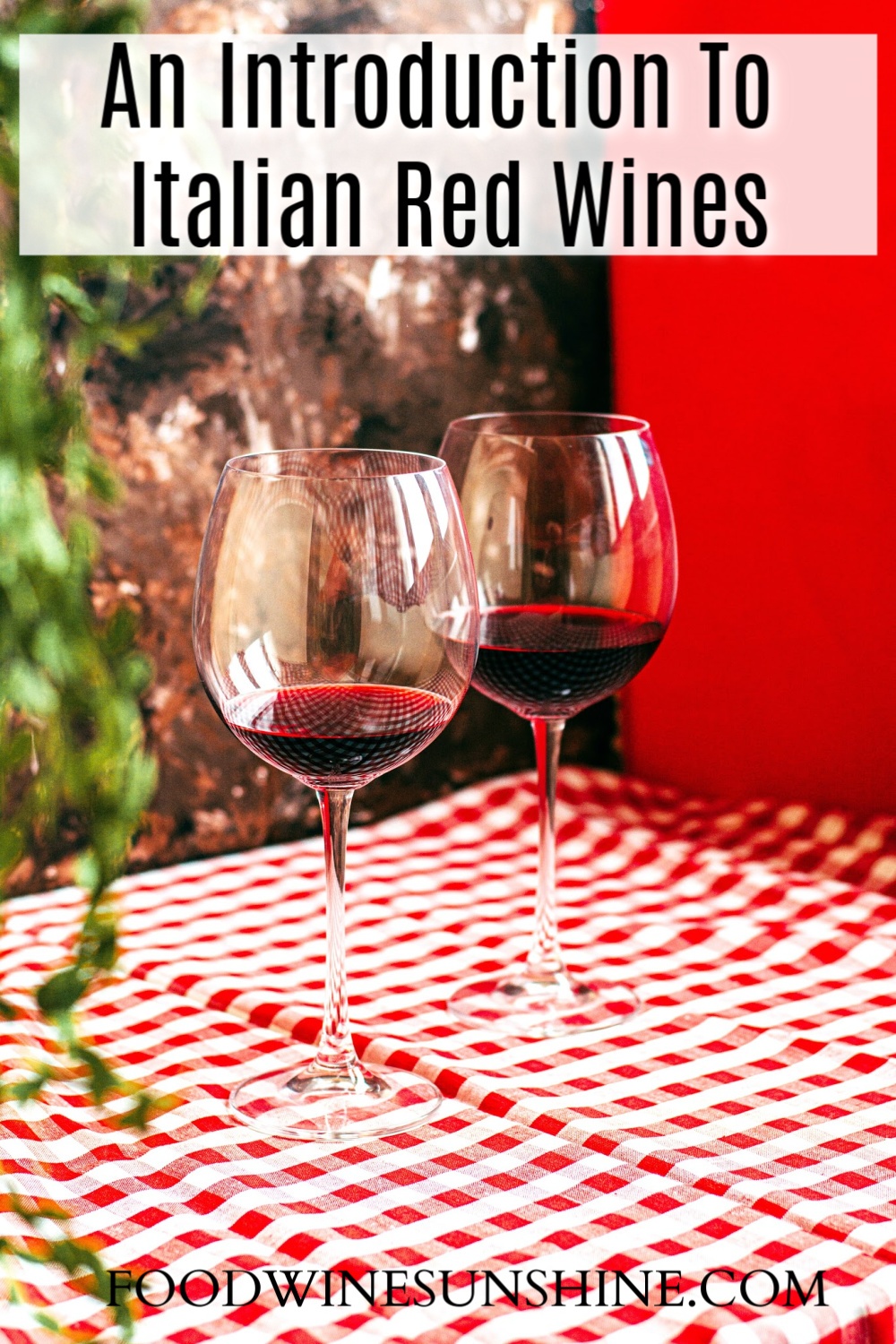 An Introduction To Italian Red Wines