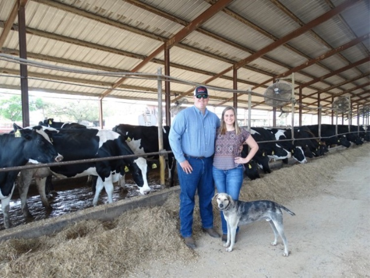 A Day In The Life Of A Dairy Farmer 