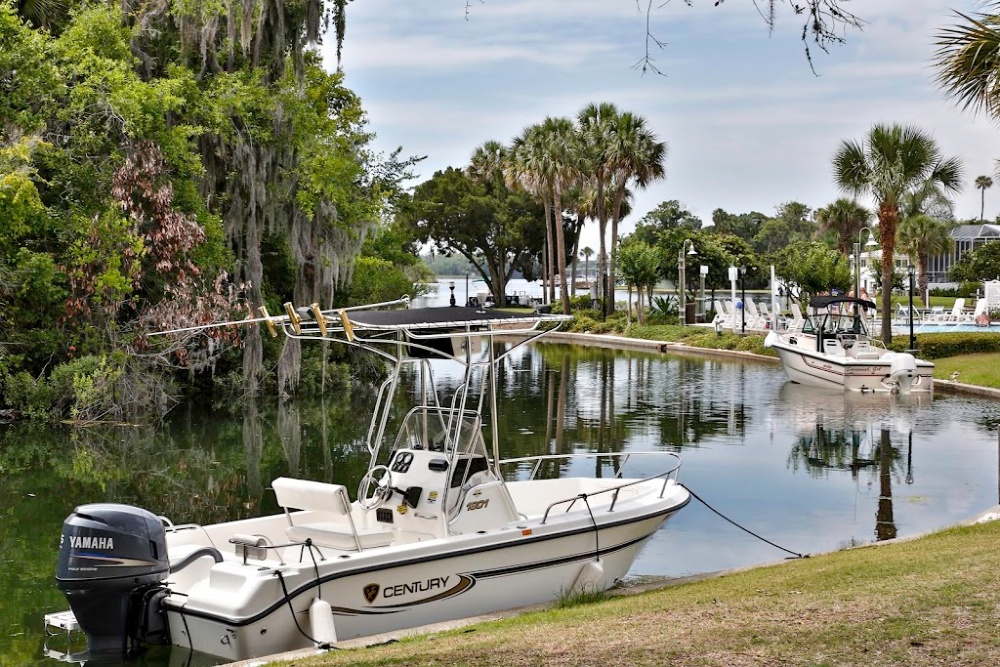 Best Places To Swim With Manatees in Crystal River