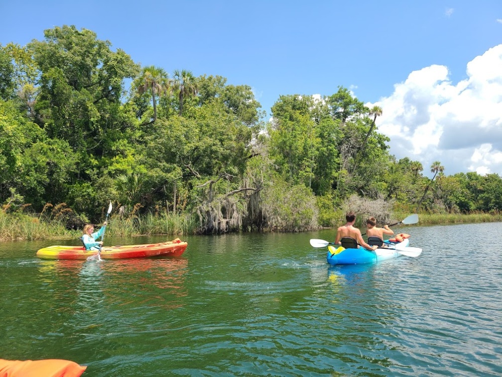 Swim With Manatees in Crystal River