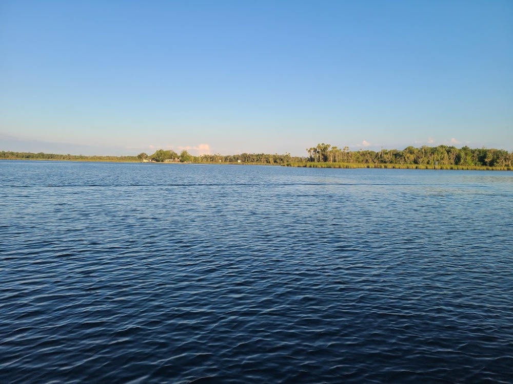 Swimming With Manatees in Kings Bay