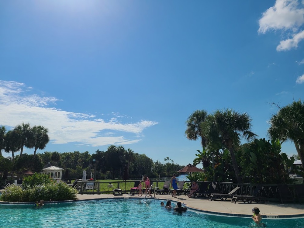 Best Places To Swim With Manatees in Tampa Bay