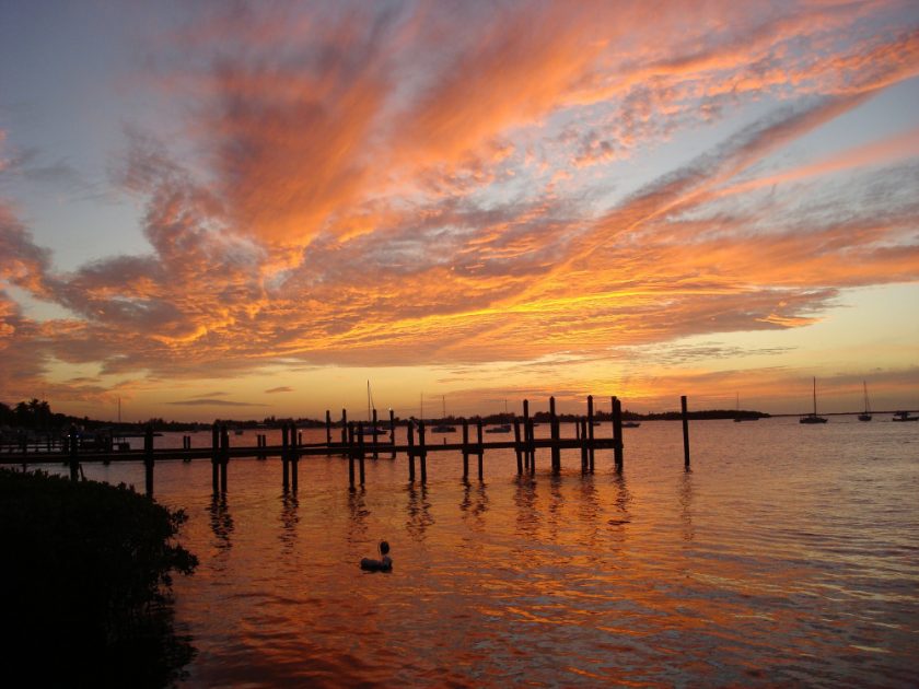 The john pennekamp coral reef state park has long been hailed as one of the. 10 Top Things To Do In Key Largo Florida Tourism