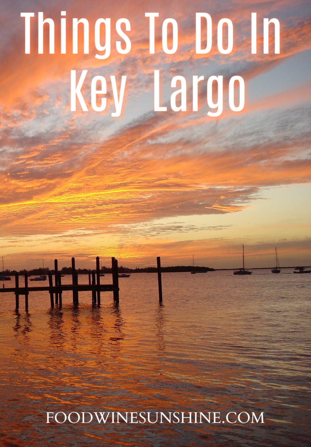 Top Things To Do In Key Largo with kids