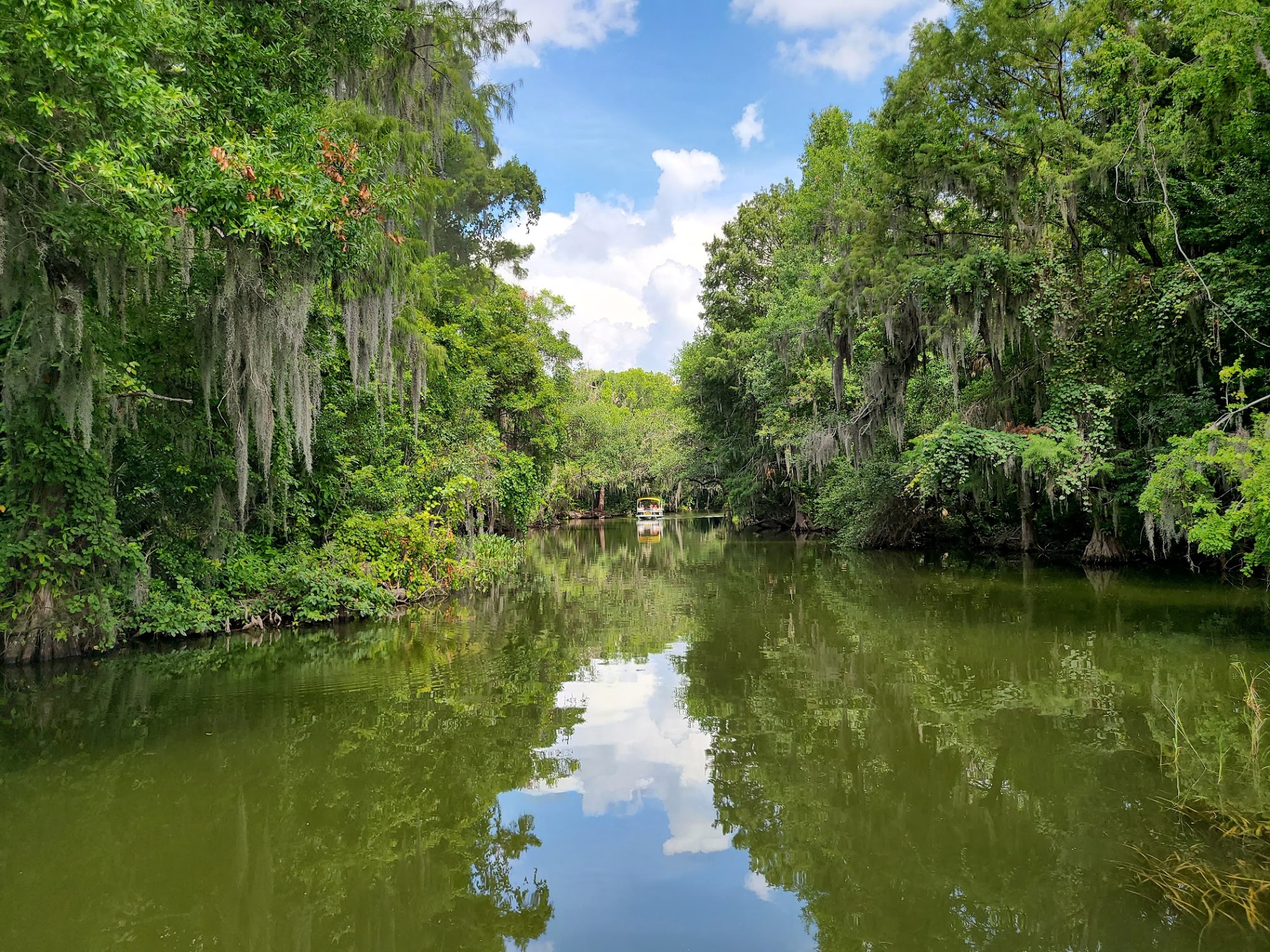 Top Family Outdoor Activities In Mount Dora