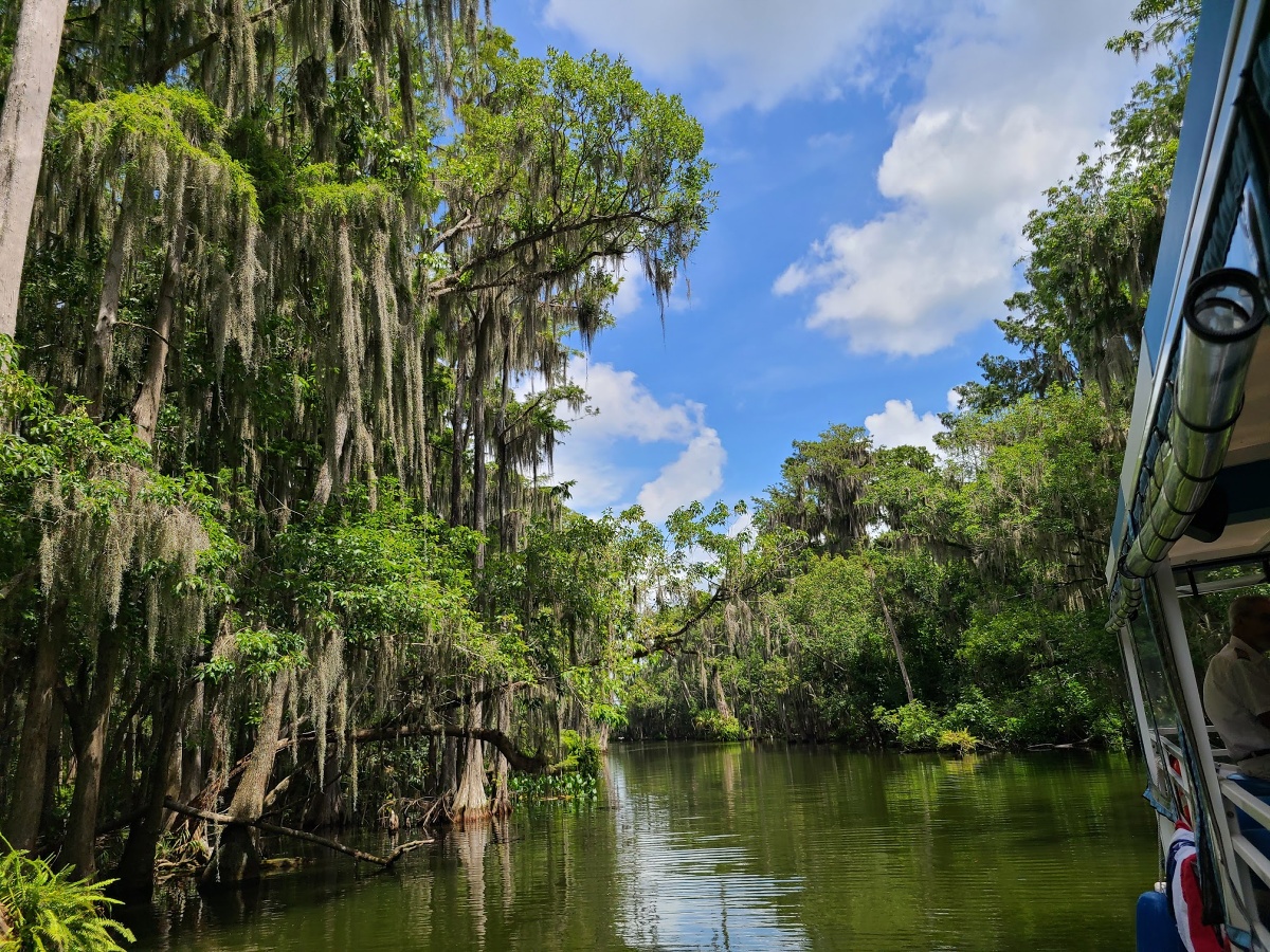 Top Outdoor Activities In Lake County Florida