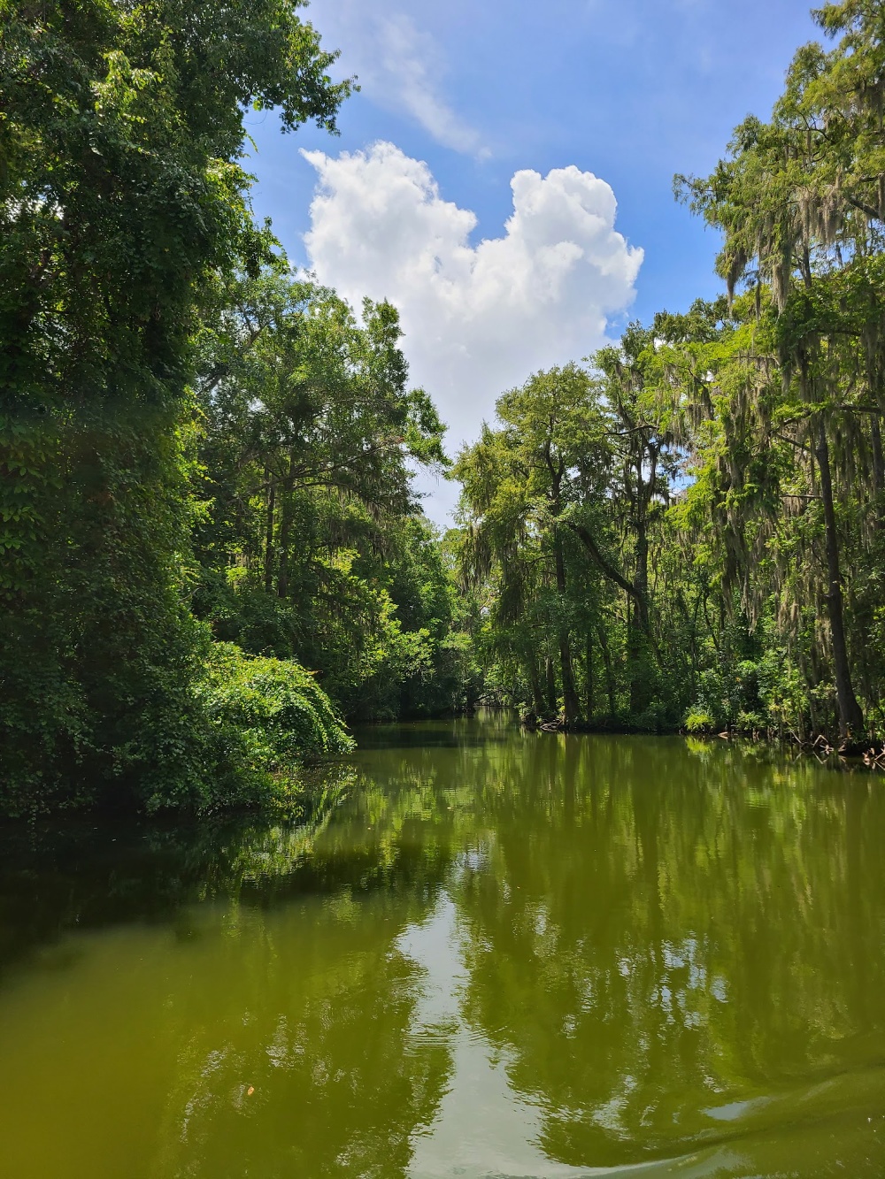 Best Outdoor Activities In Lake County Florida Best Outdoor Activities In Lake County Florida