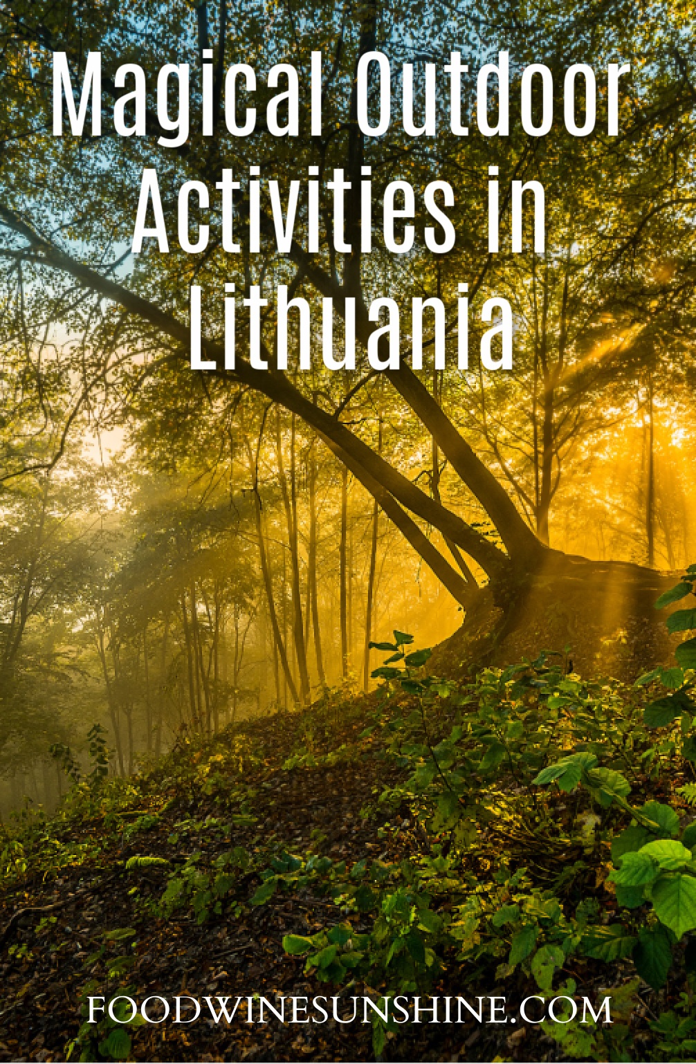 Magical Outdoor Activities in Lithuania