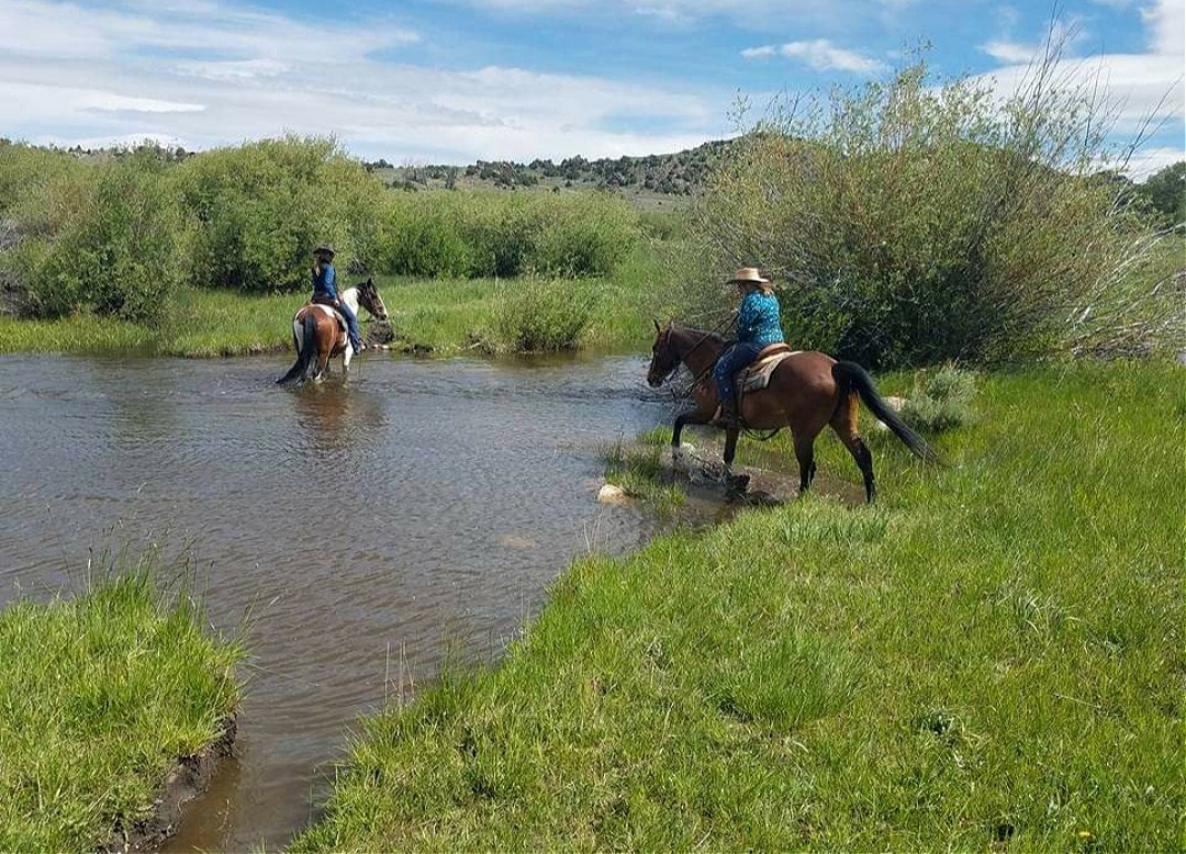 Top Luxury Dude Ranches 