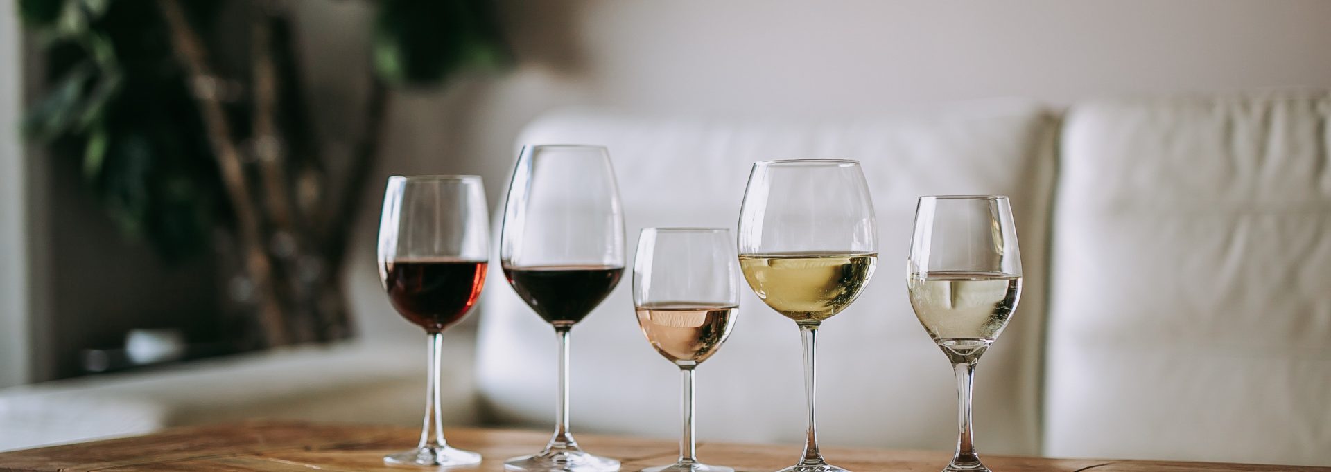 Basics: How to Select the Right Wine Glass