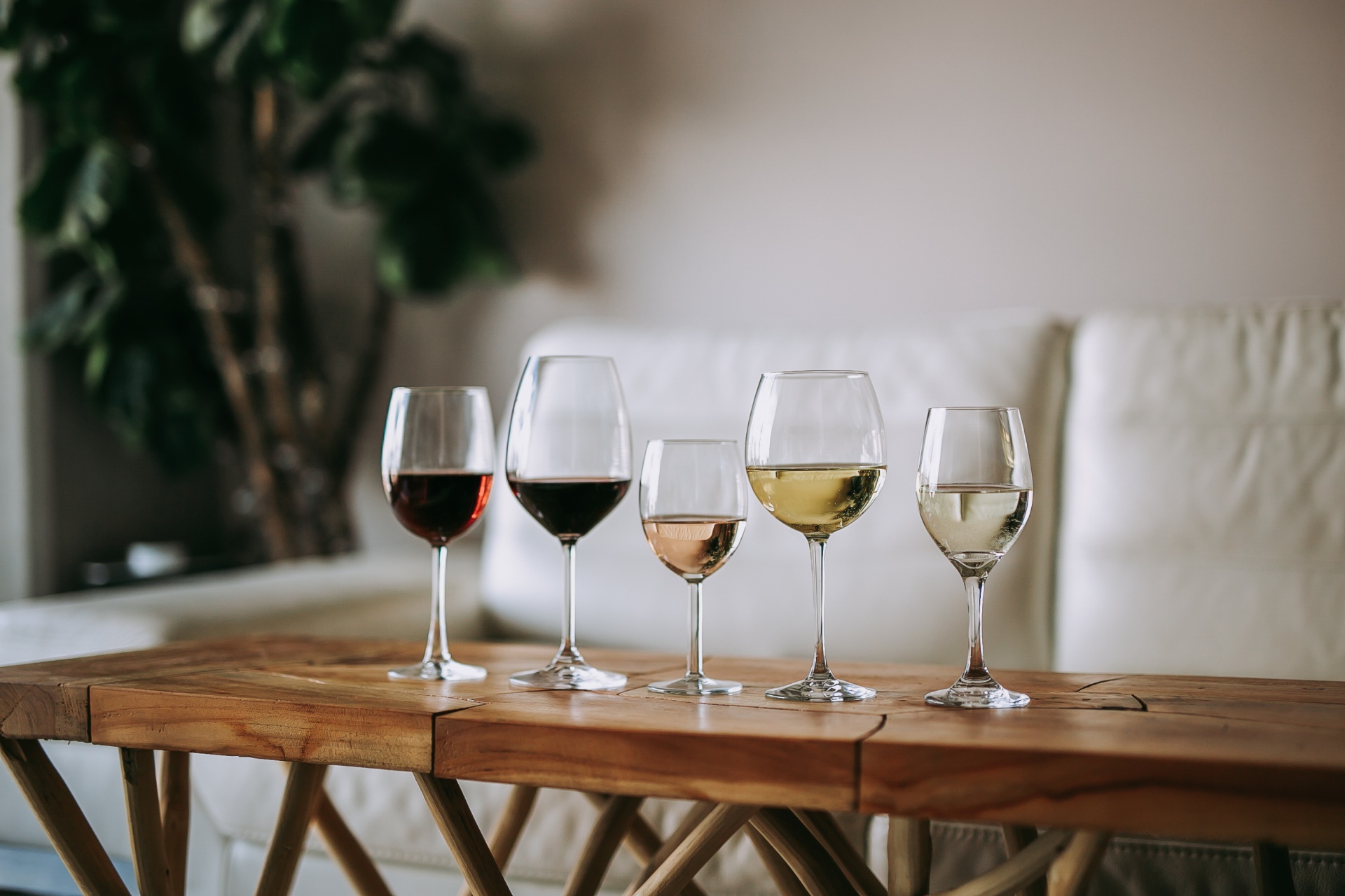 How To Choose The Right Wine Glass