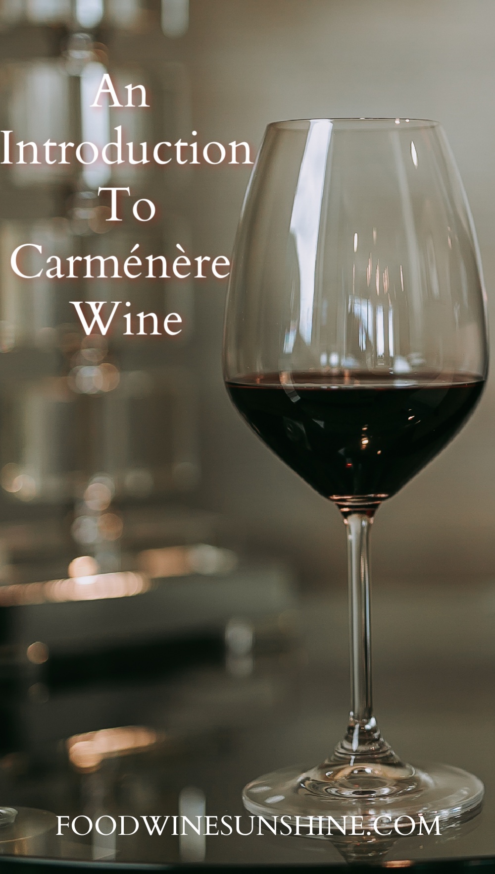 An Introduction To Carménère Wine