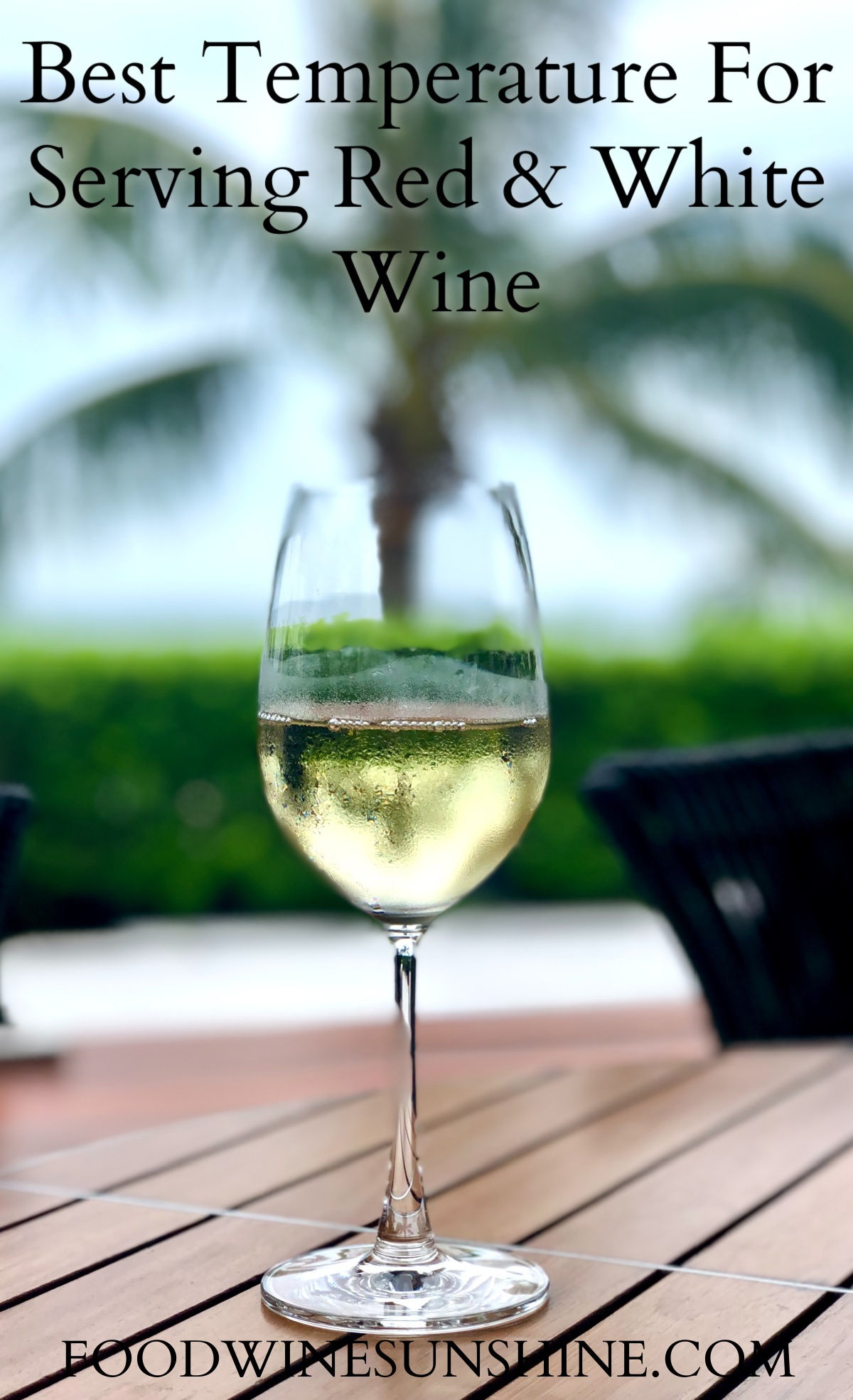 Best Temperatures For Serving Red & White Wine