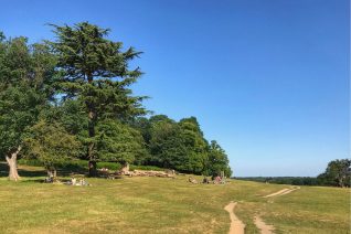 Best Parks in London Richmond Park