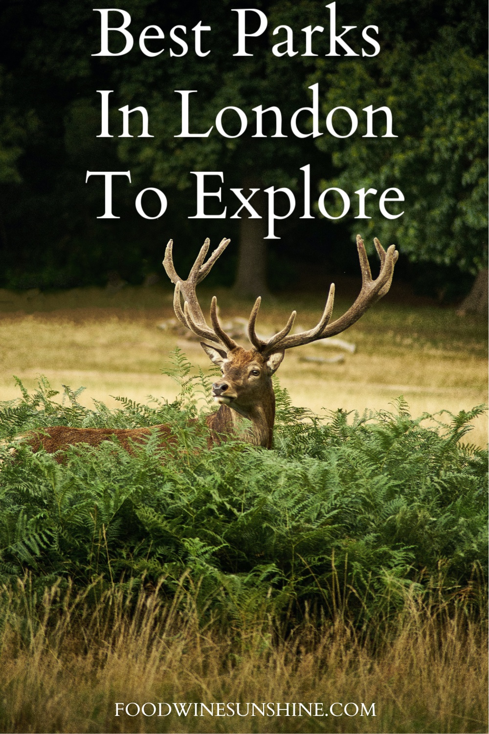 Best Parks in London England To Explore